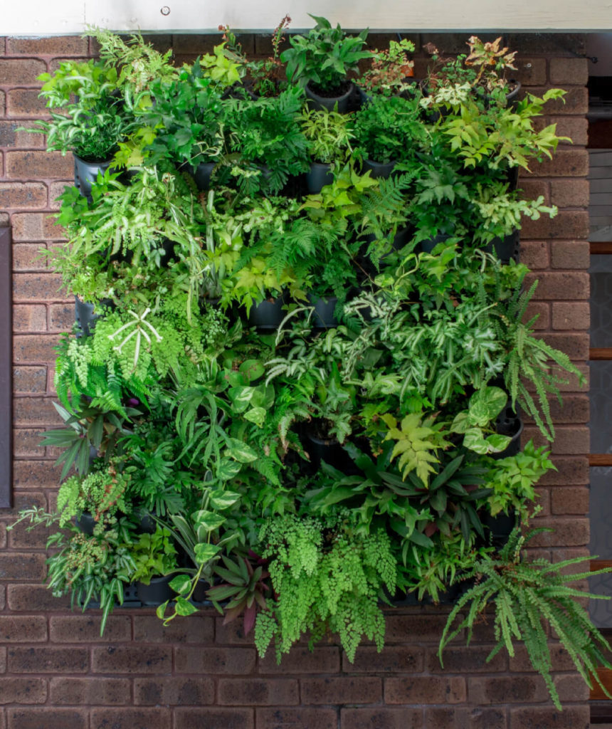 Create a Vertical Greenwall with a Vertical Planting Kit - Holman ...