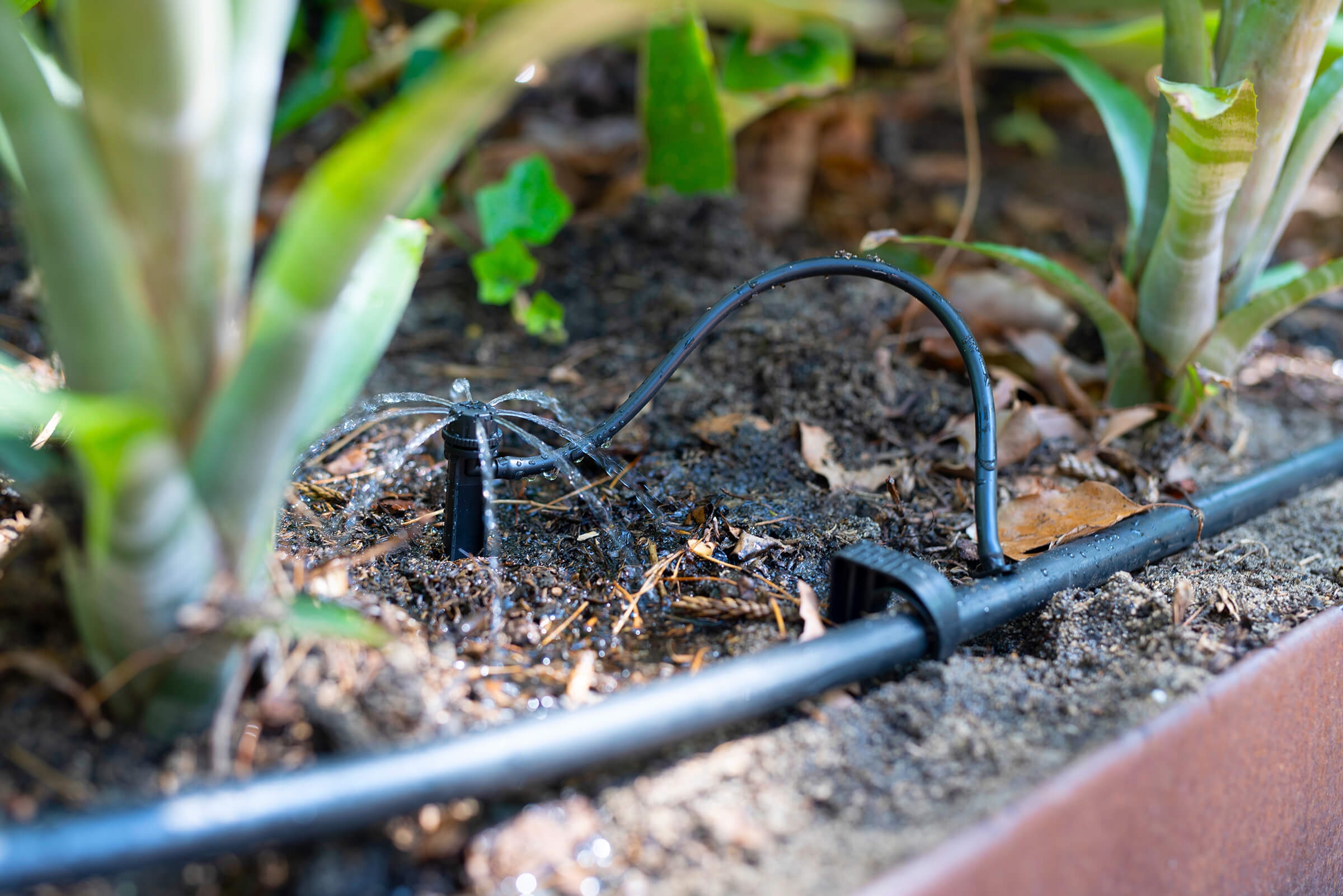 Drip Irrigation - Create your own Drip Irrigation System - Holman Industries